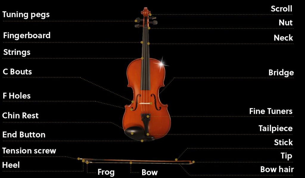 Caswell's Strings, violin, diagram, scroll, pegbox, bow, frog, instrument