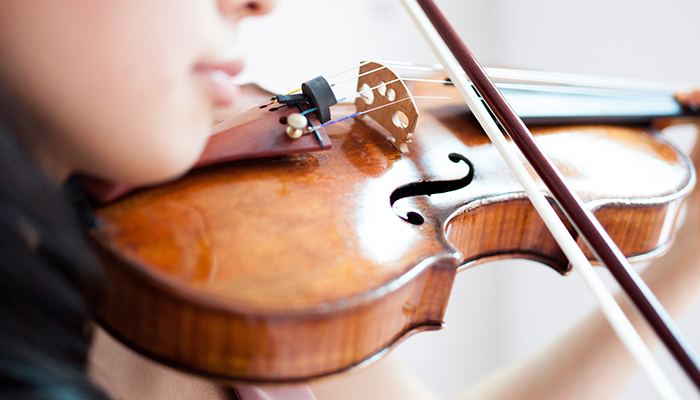 Everything to know about violin bows
